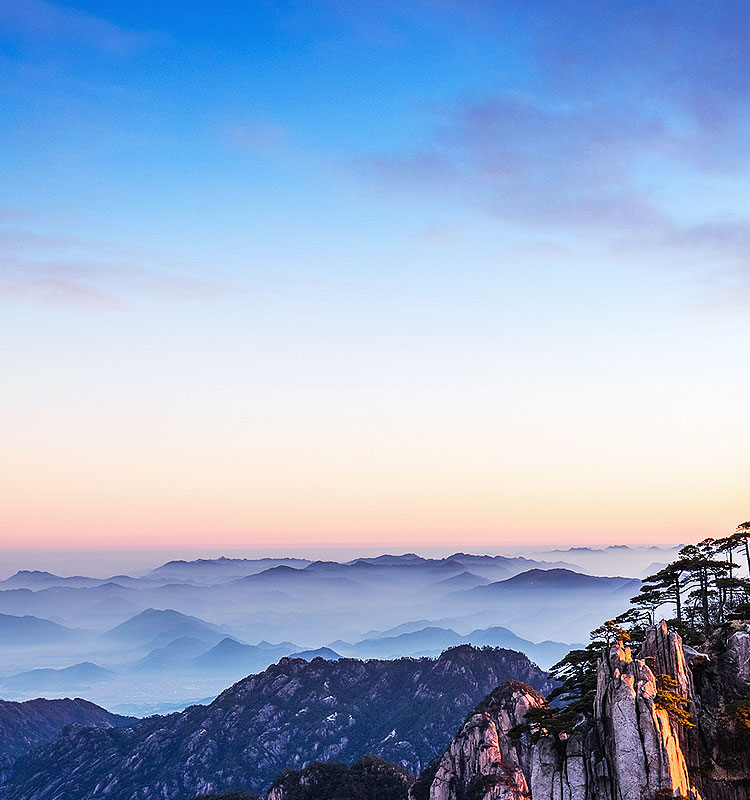 立异驱动生长 治理提升效益